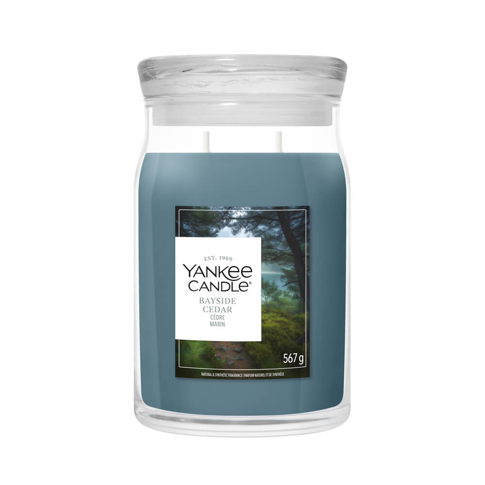 Yankee Candle Bayside Cedar & Spruce candle in a glass jar on a white background