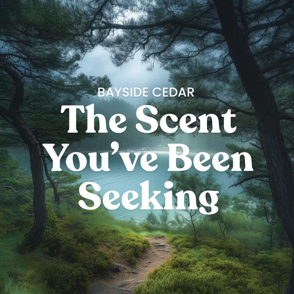 Bayside Cedar