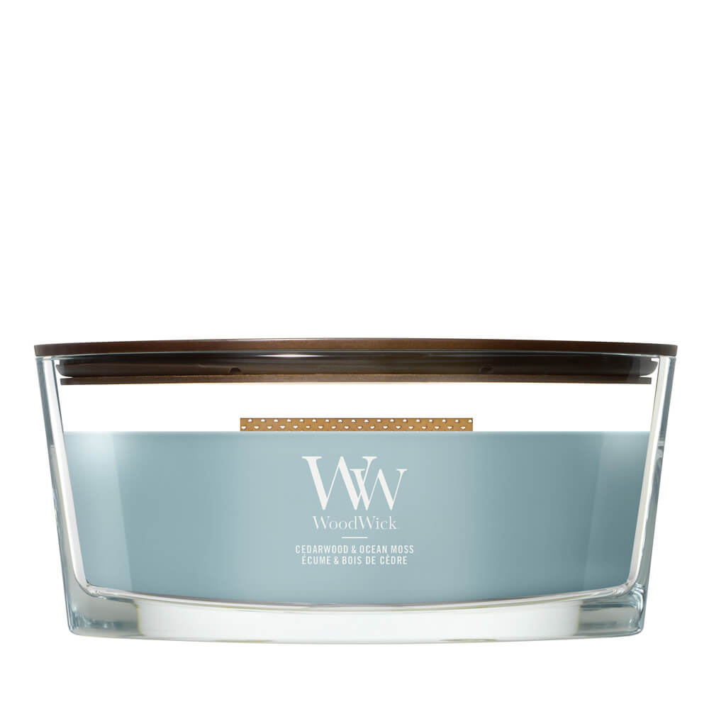 Cedarwood and Ocean Moss