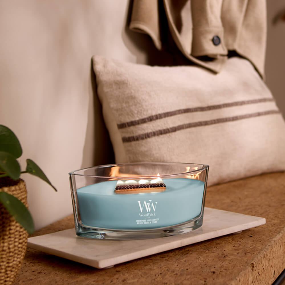 Cedarwood and Ocean Moss