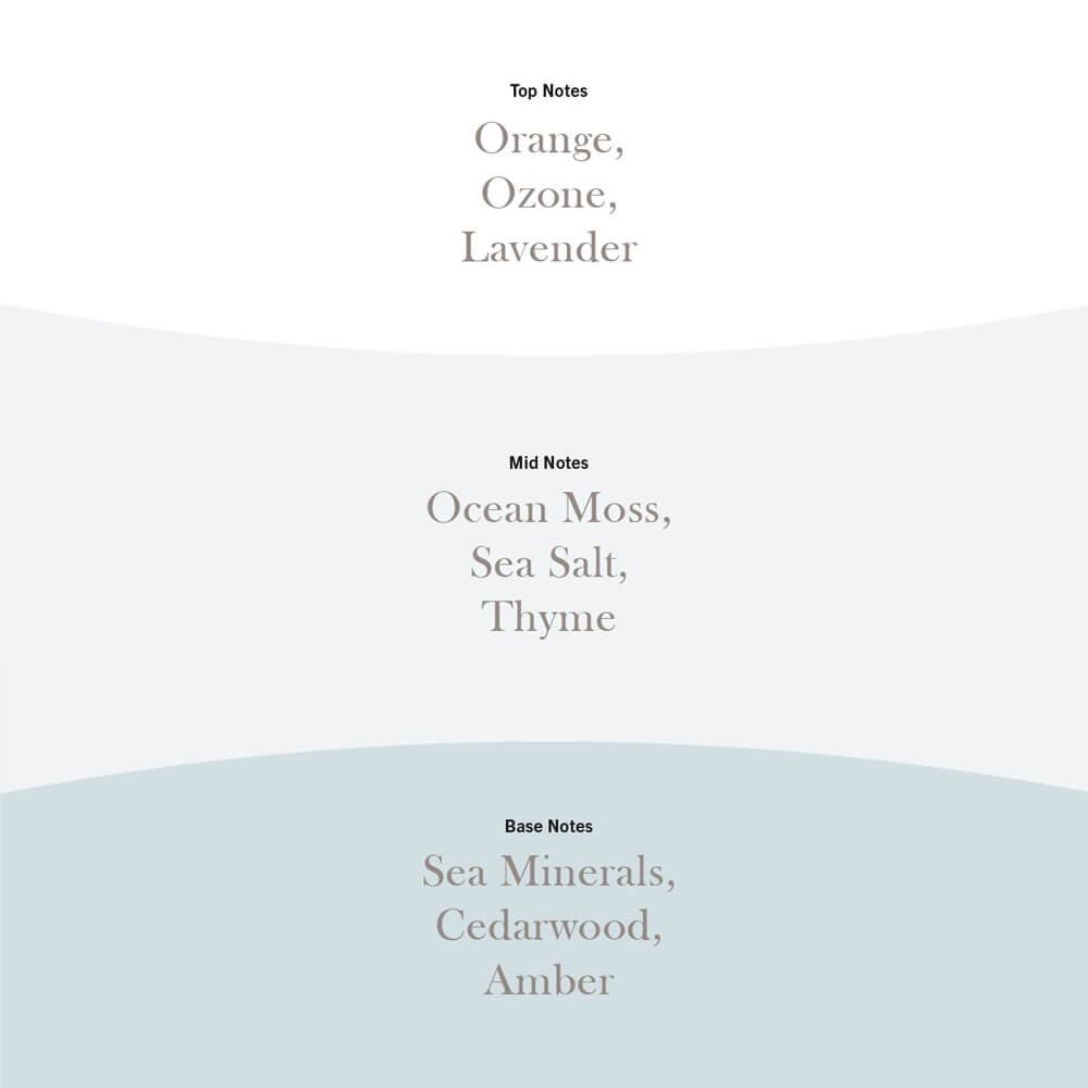 Cedarwood and Ocean Moss