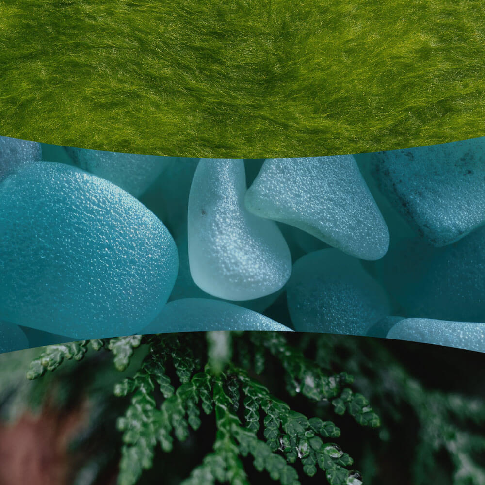 Cedarwood and Ocean Moss