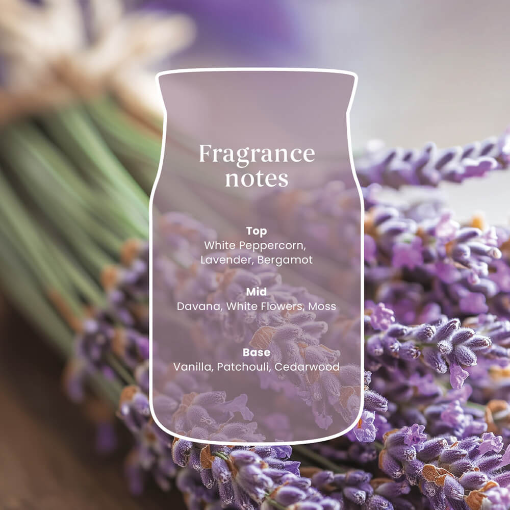 Dried Lavender and Oak