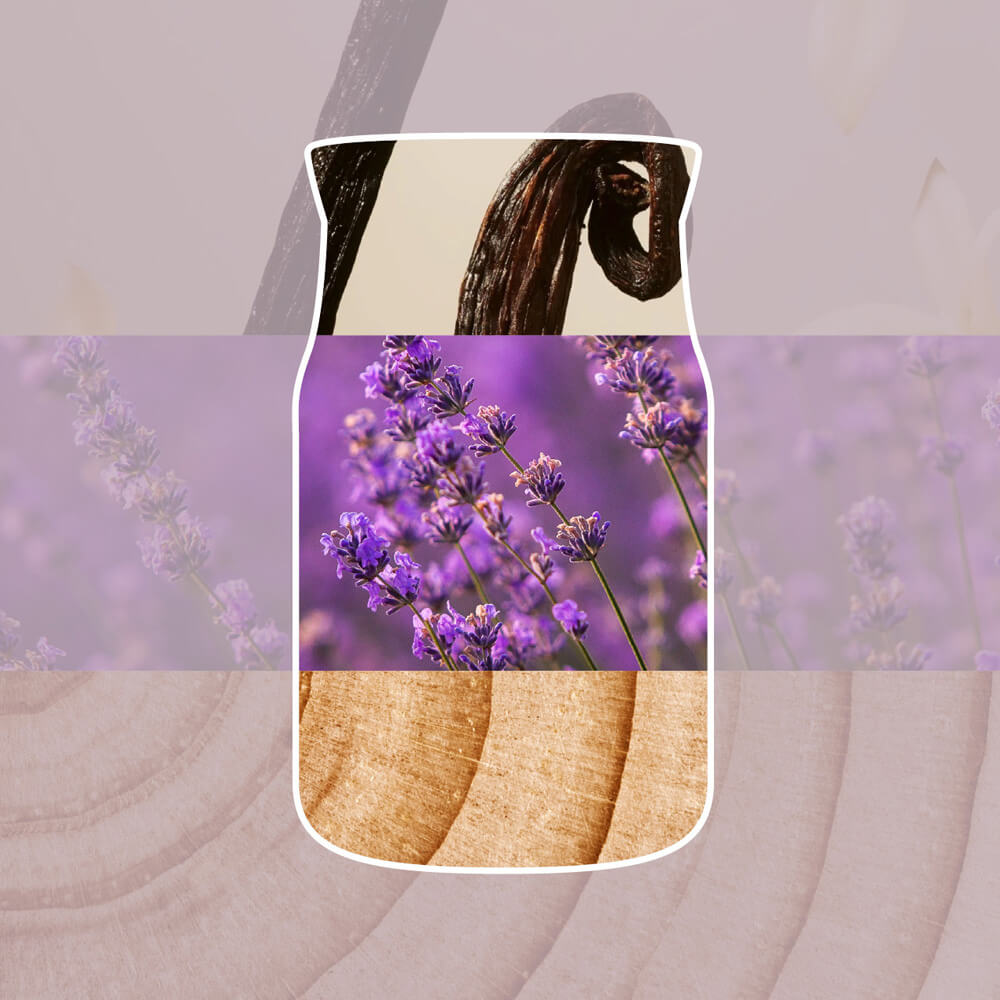 Dried Lavender and Oak