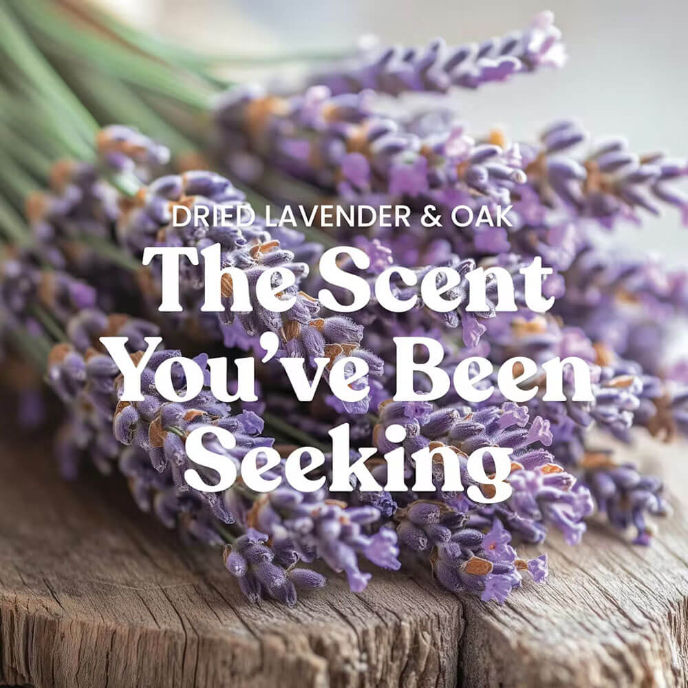 Dried Lavender and Oak