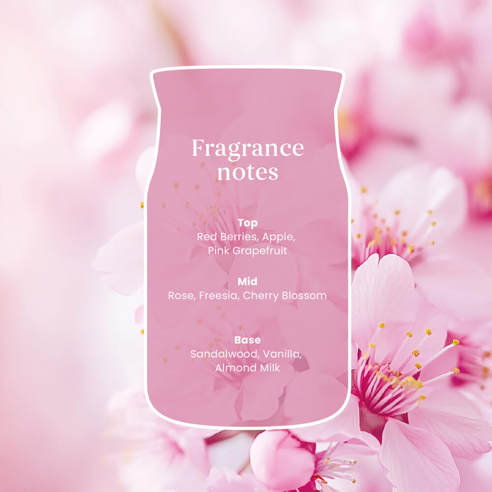 Enchanting Cherry Blossom