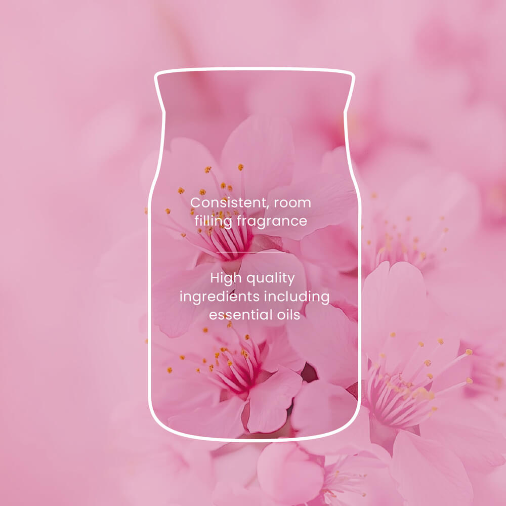 Enchanting Cherry Blossom