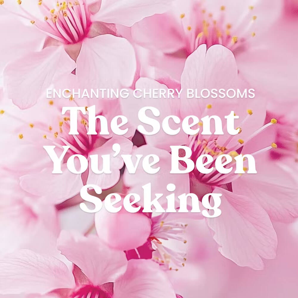 Enchanting Cherry Blossom