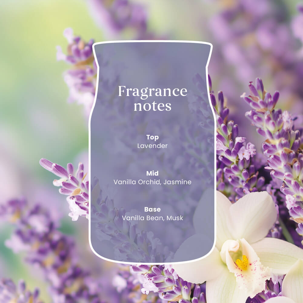 Lavender Vanilla