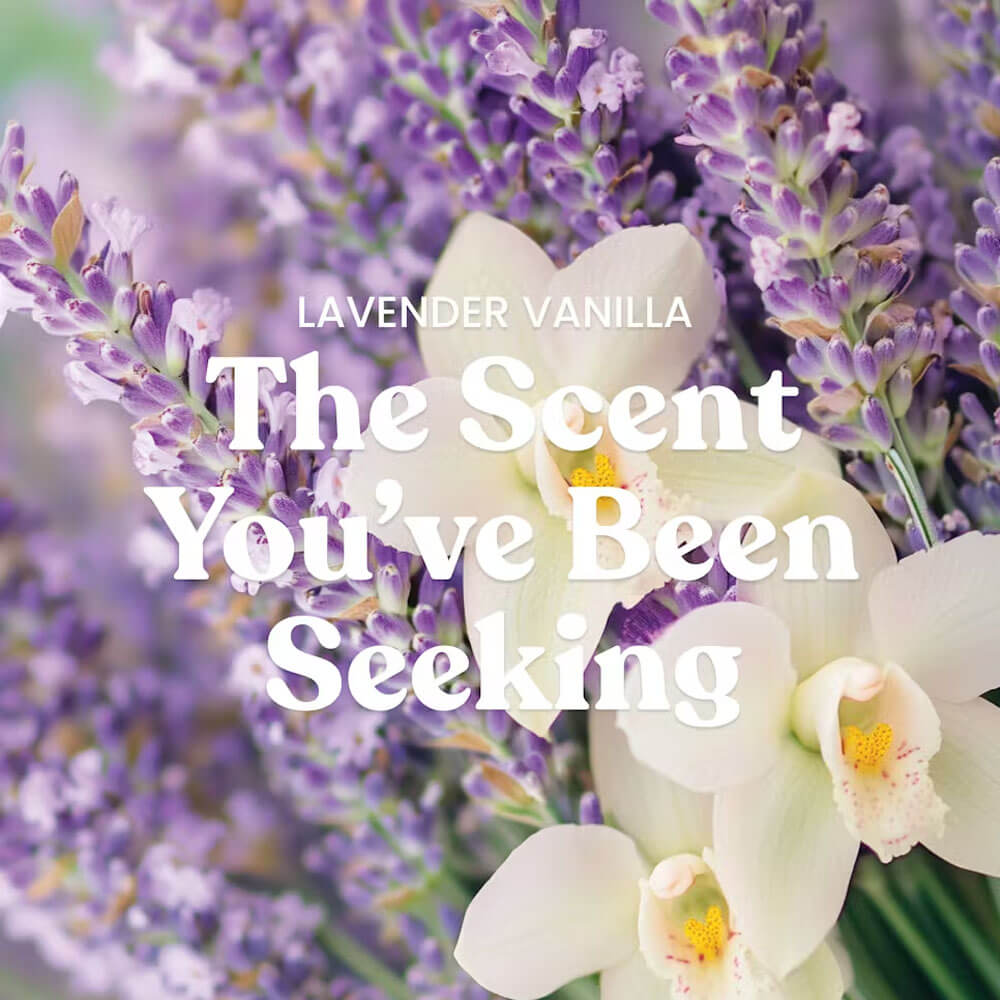 Lavender Vanilla