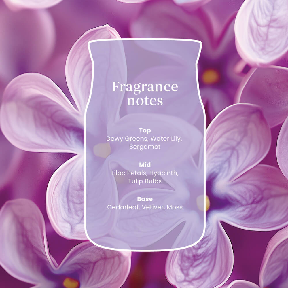 Lilac Blossoms