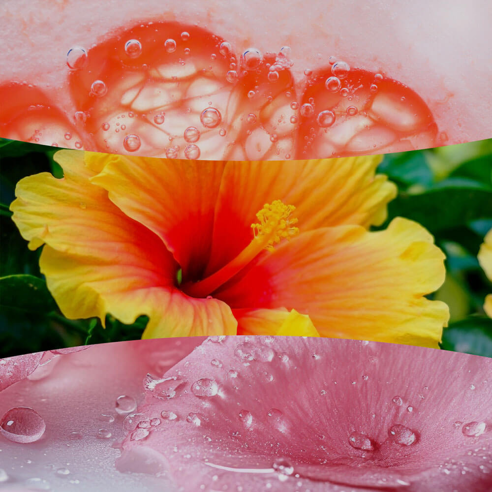 Lush Pomelo