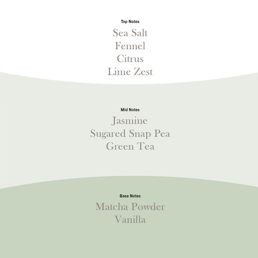 Matcha Zest