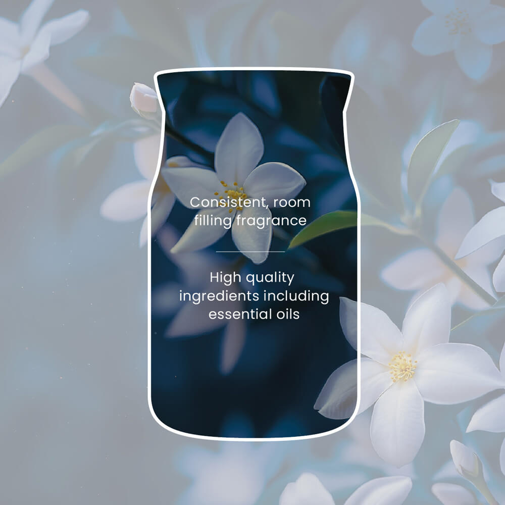 Midnight Jasmine