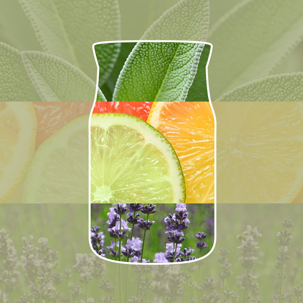 Sage and Citrus