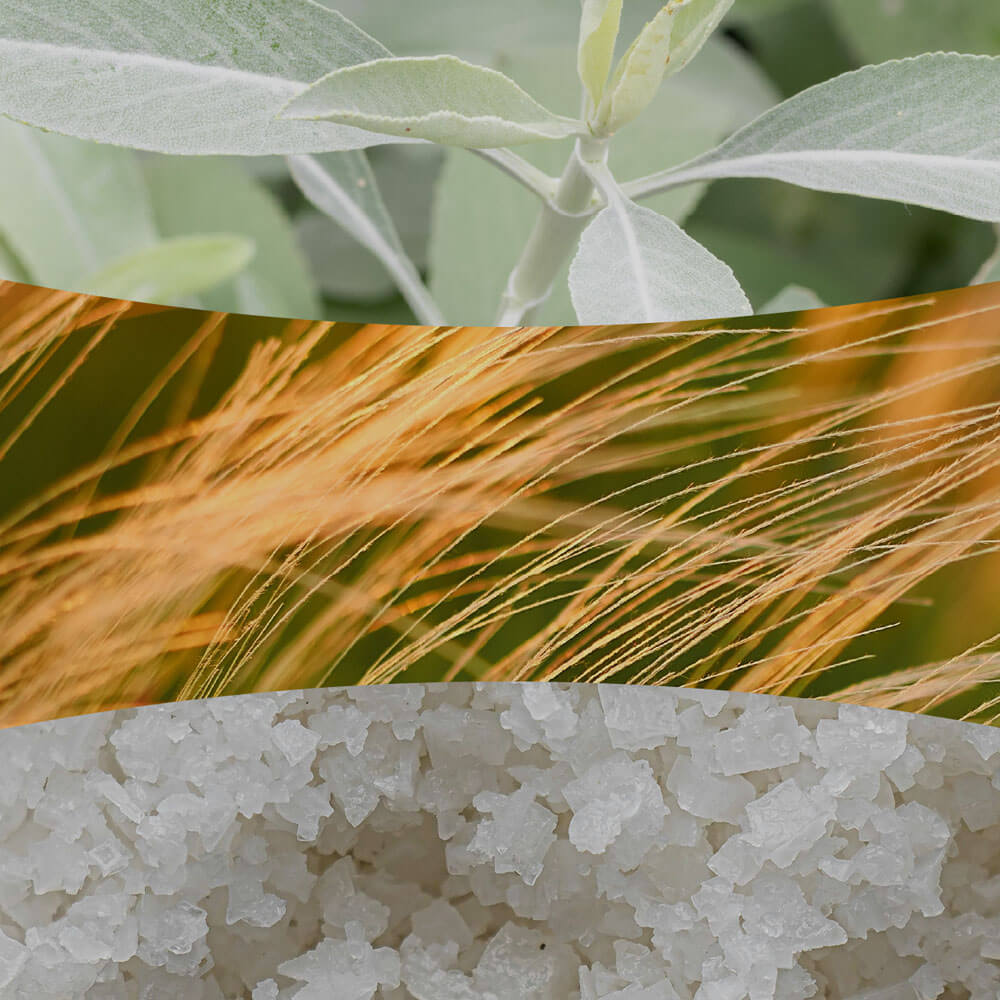 Sagewood and Seagrass