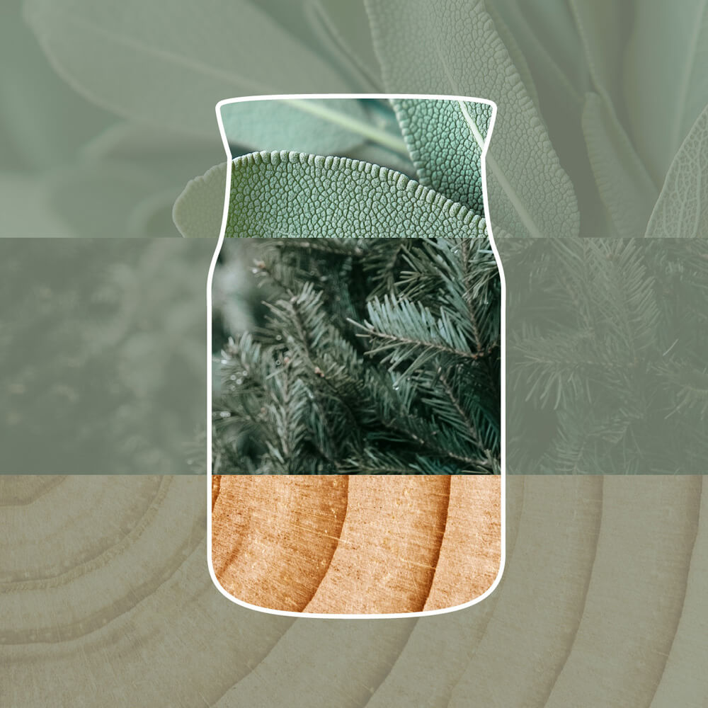 Silver Sage and Pine