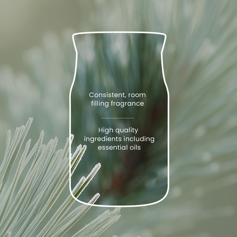 Silver Sage and Pine