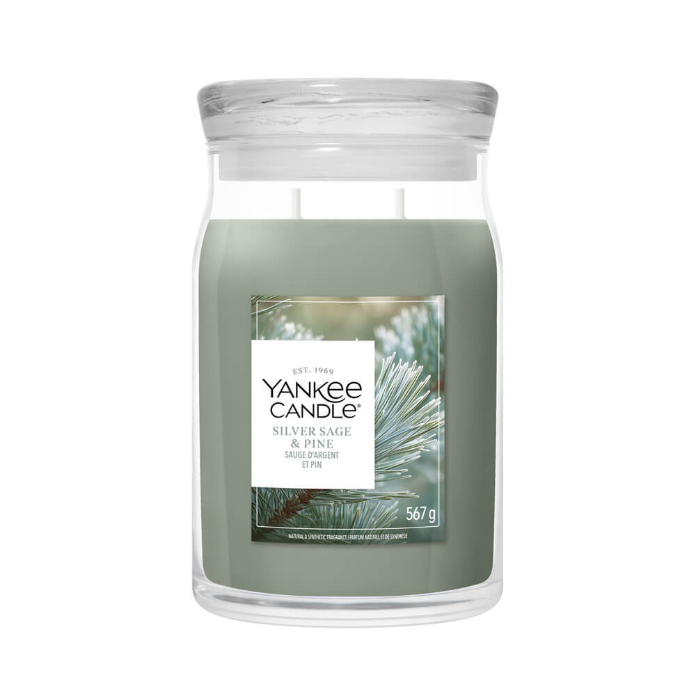 Silver Sage and Pine