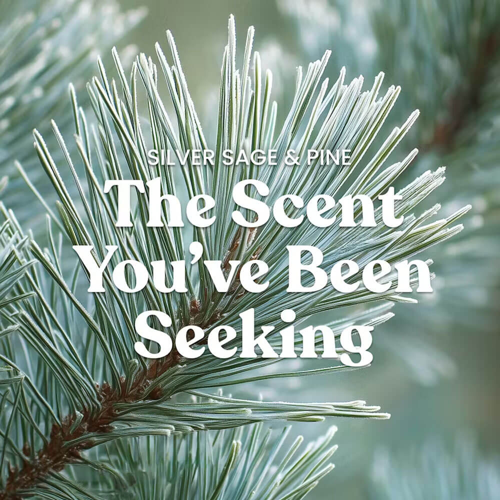 Silver Sage and Pine