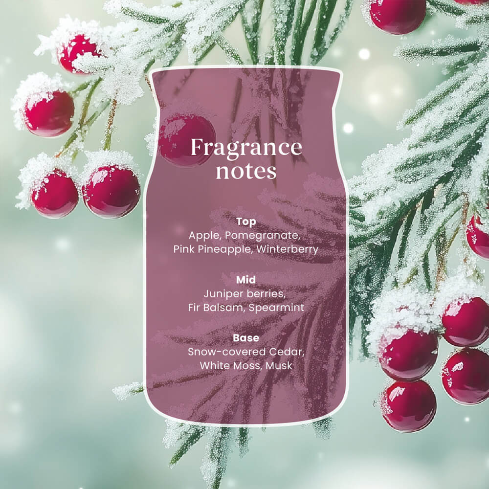 Sparkling Winterberry