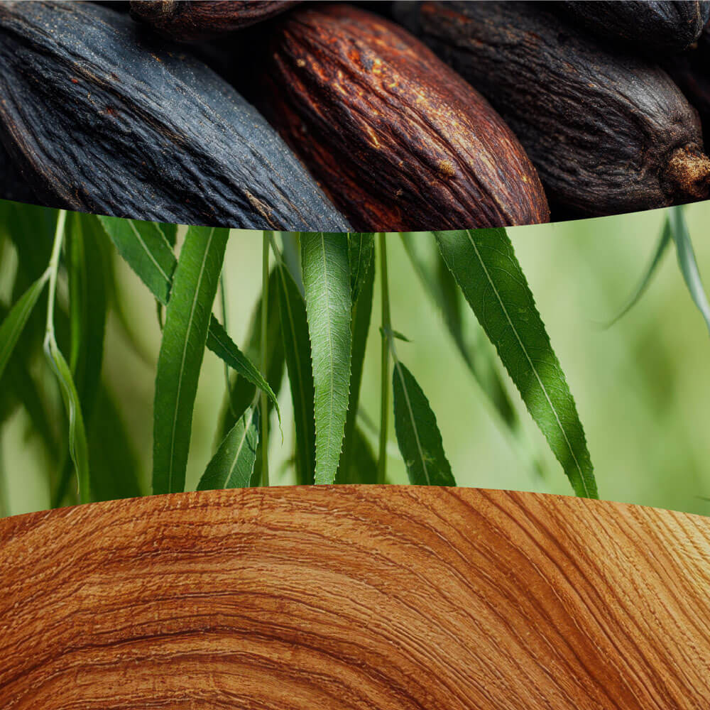 Tonka and Almond Milk