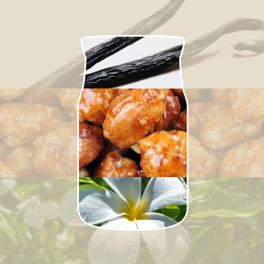 Vanilla Creme Brulee