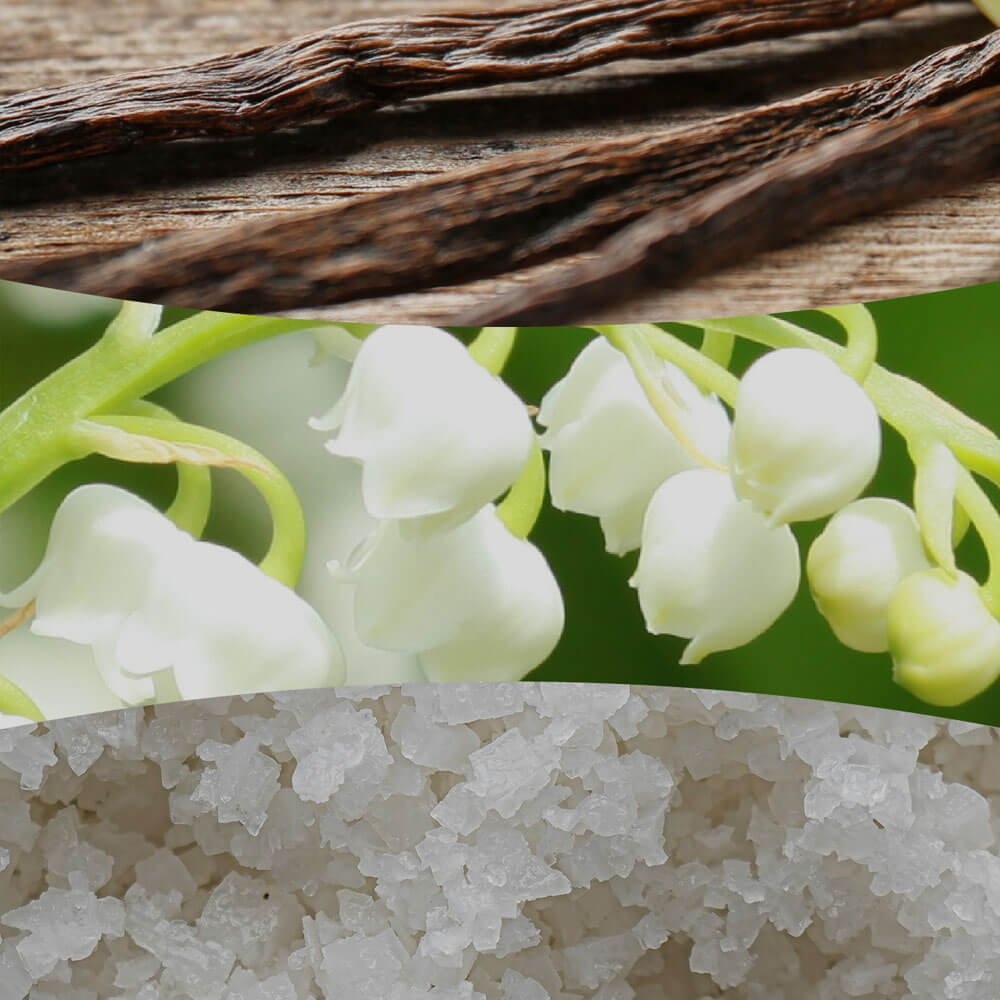 Vanilla and Sea Salt