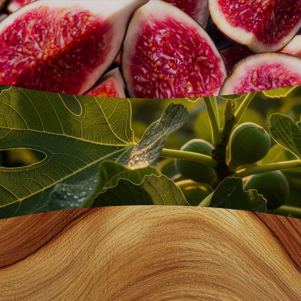 Verdant Fig