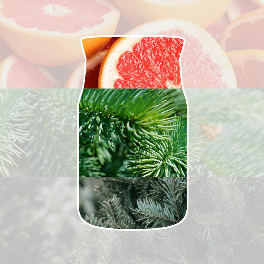 White Spruce and Grapefruit
