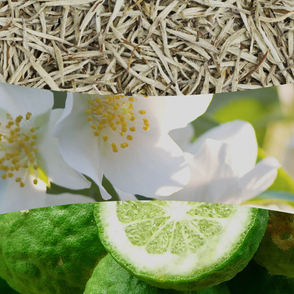 White Tea and Jasmine