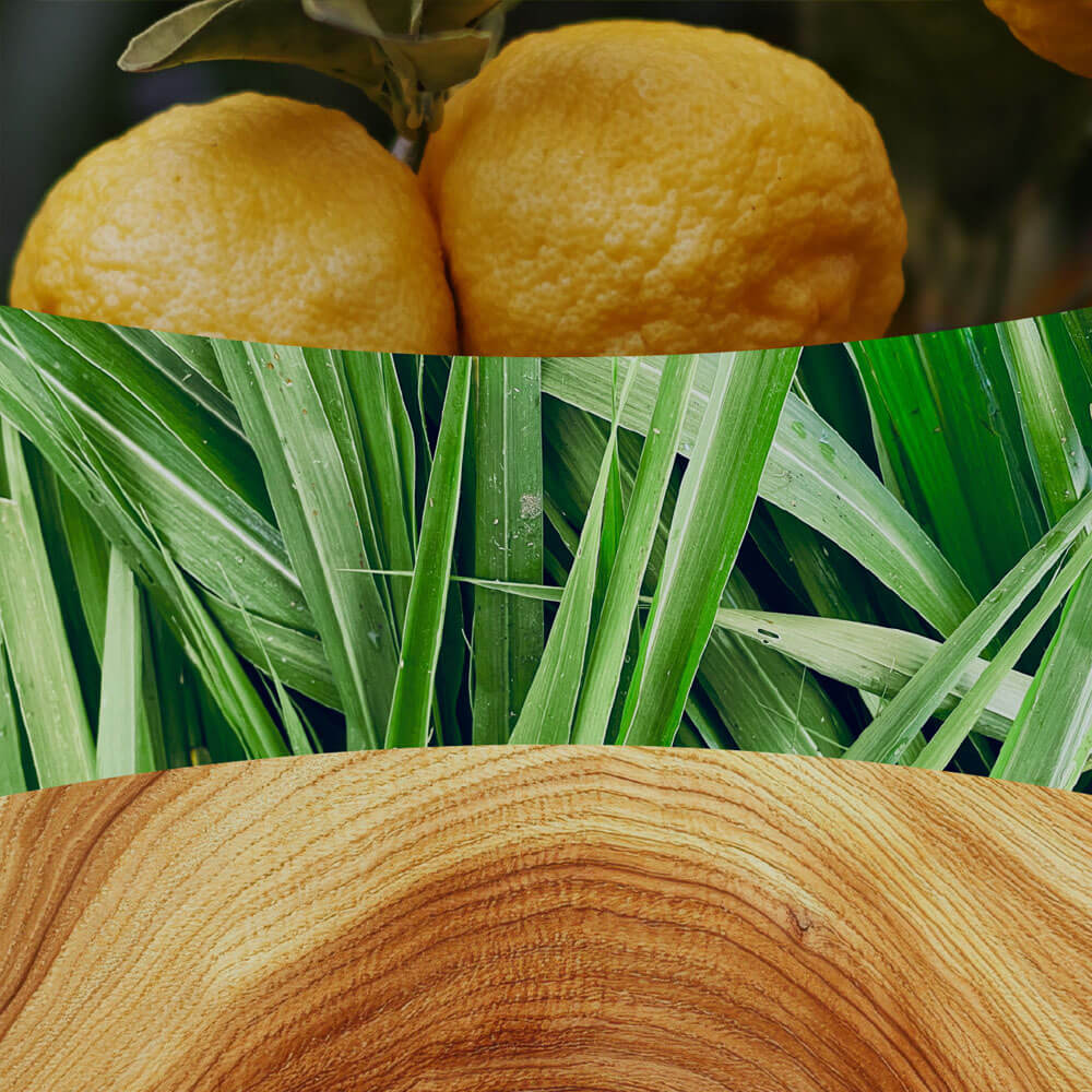 Yuzu and Vetiver