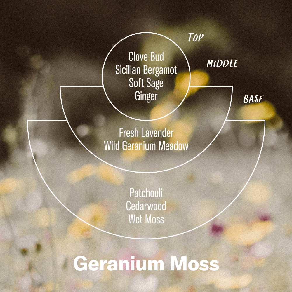 Alchemy Geranium Moss