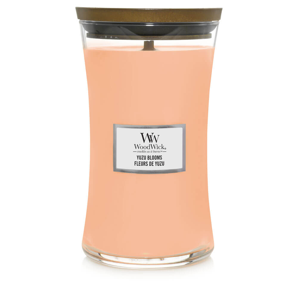 Yuzu Blooms