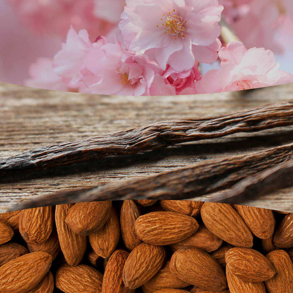 Cherry Blossom and Vanilla