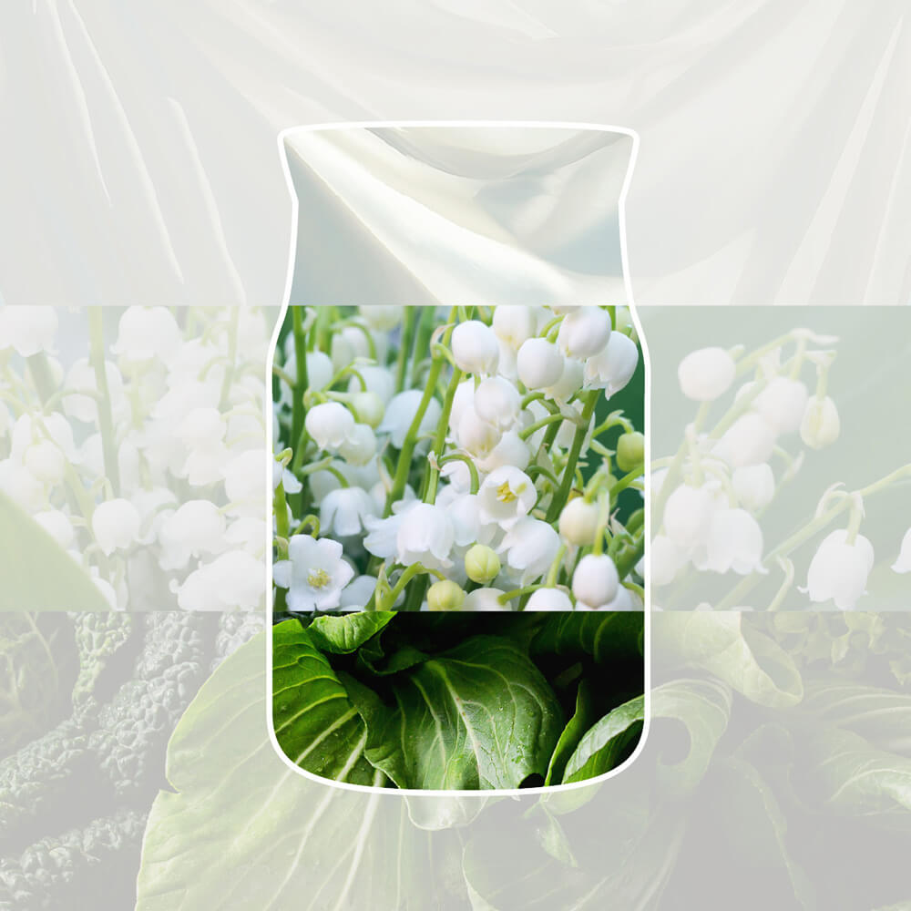 Clean Cotton Organic