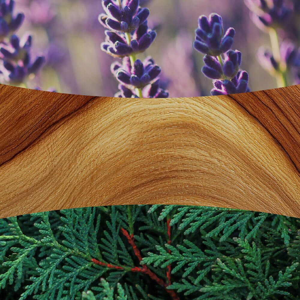 Lavender and Cedar
