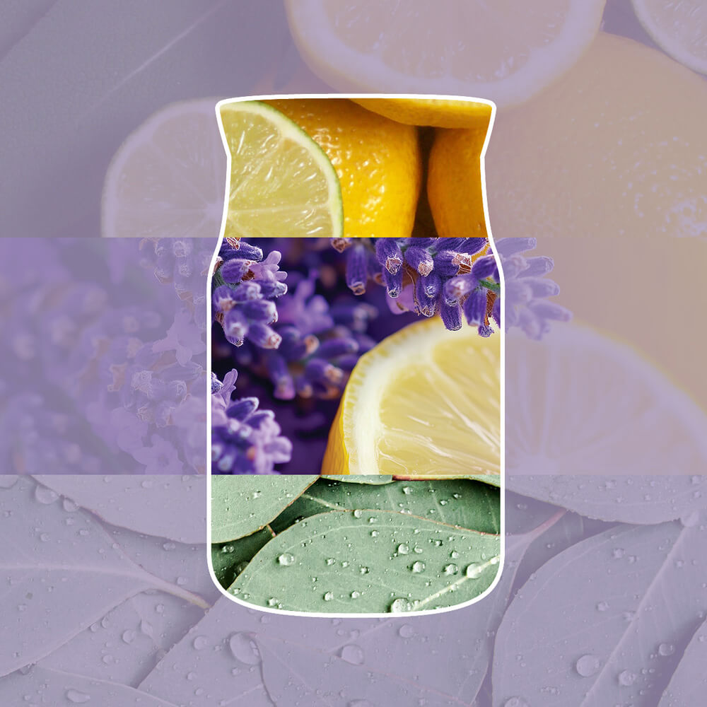 Lemon Lavender