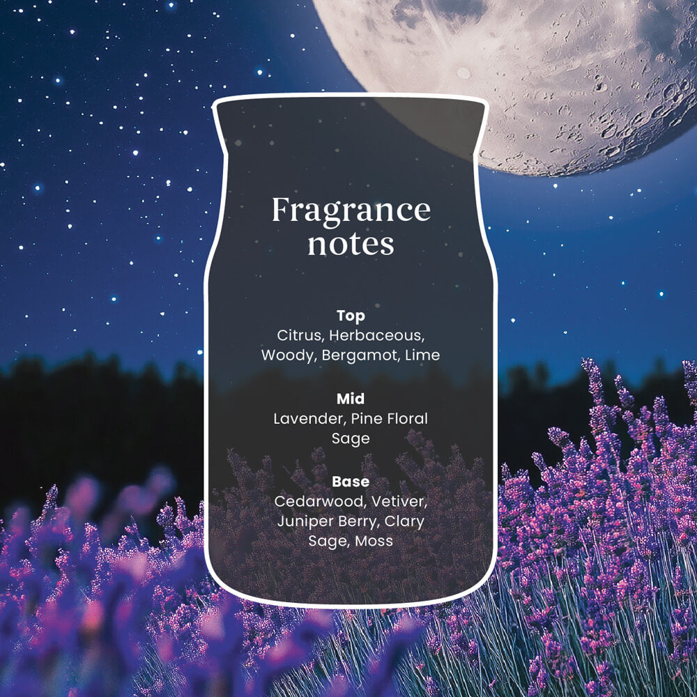 Yankee Candle Midsummers Night Signature Medium Jar Candle