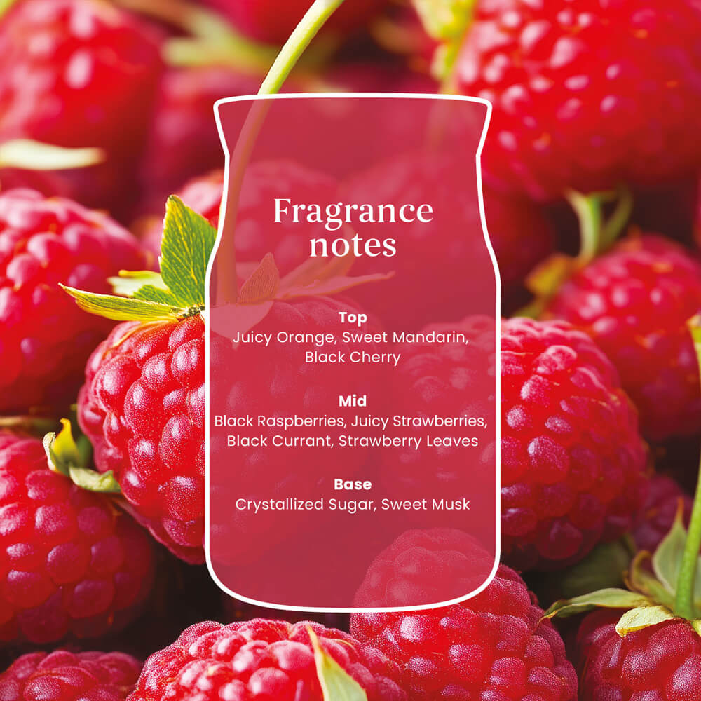 Yankee Candle Red Raspberry Large Jar Candle