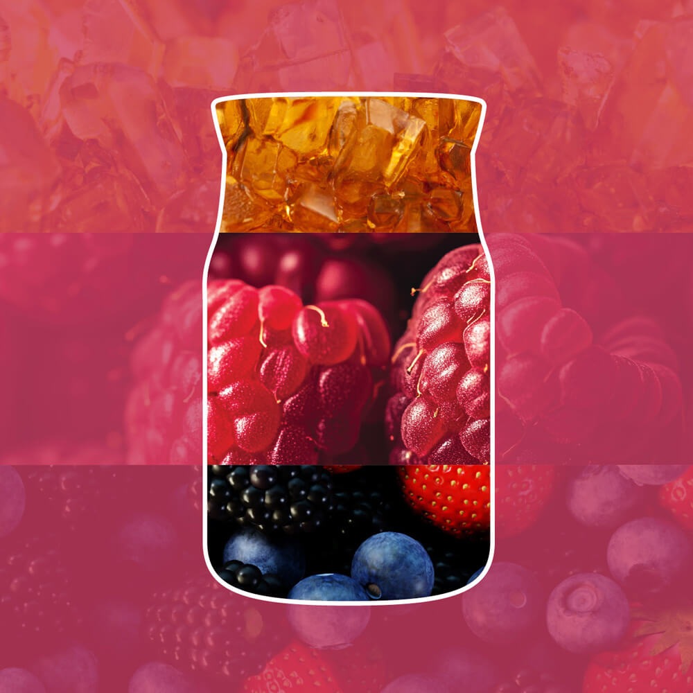 Yankee Candle Red Raspberry Large Jar Candle