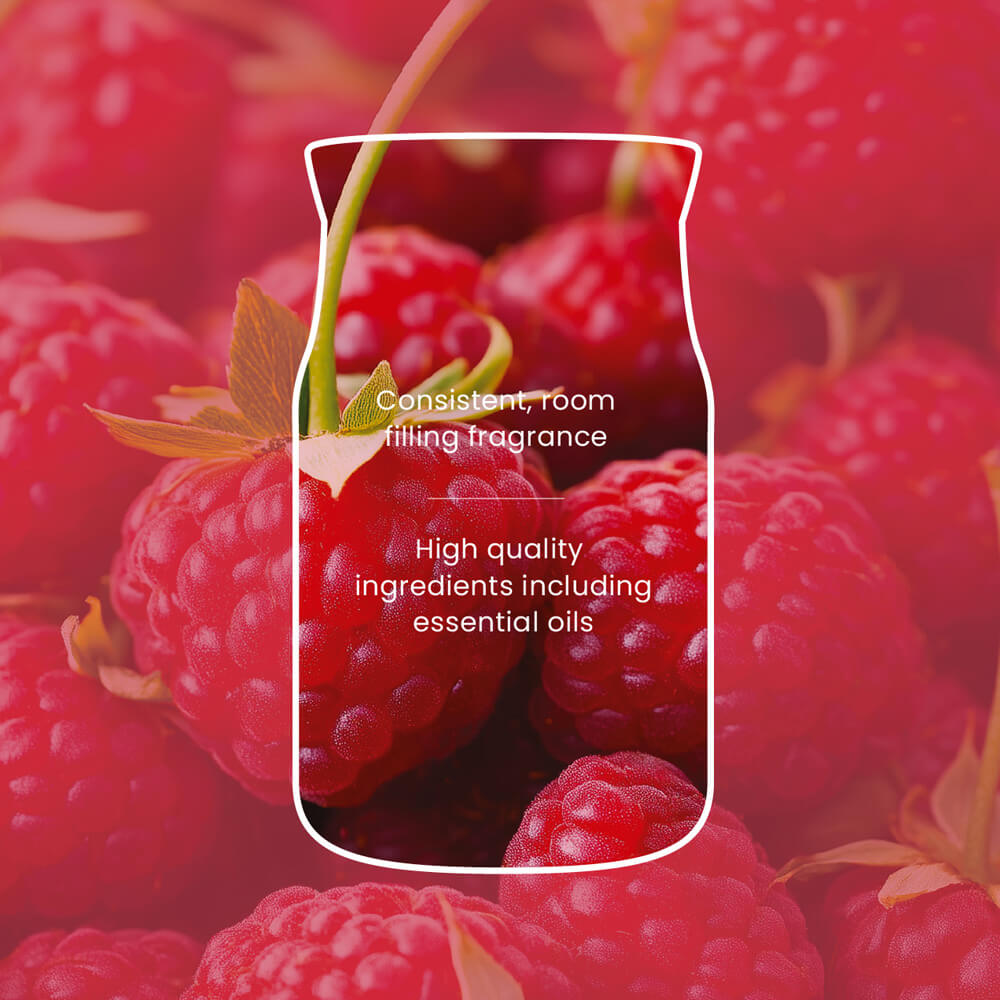 Yankee Candle Red Raspberry Large Jar Candle