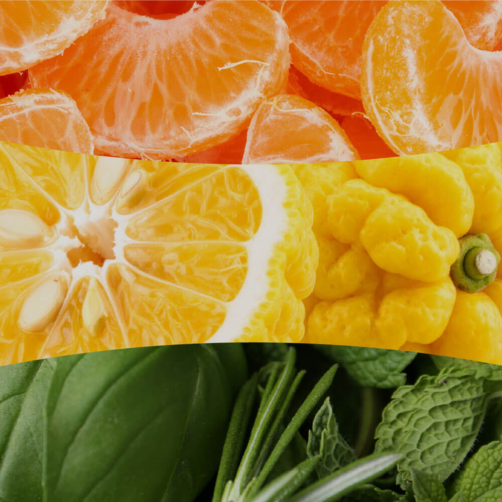 Tangerine and Citron