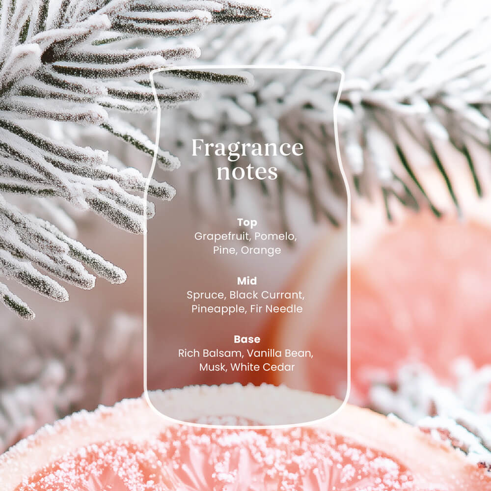 White Spruce and Grapefruit