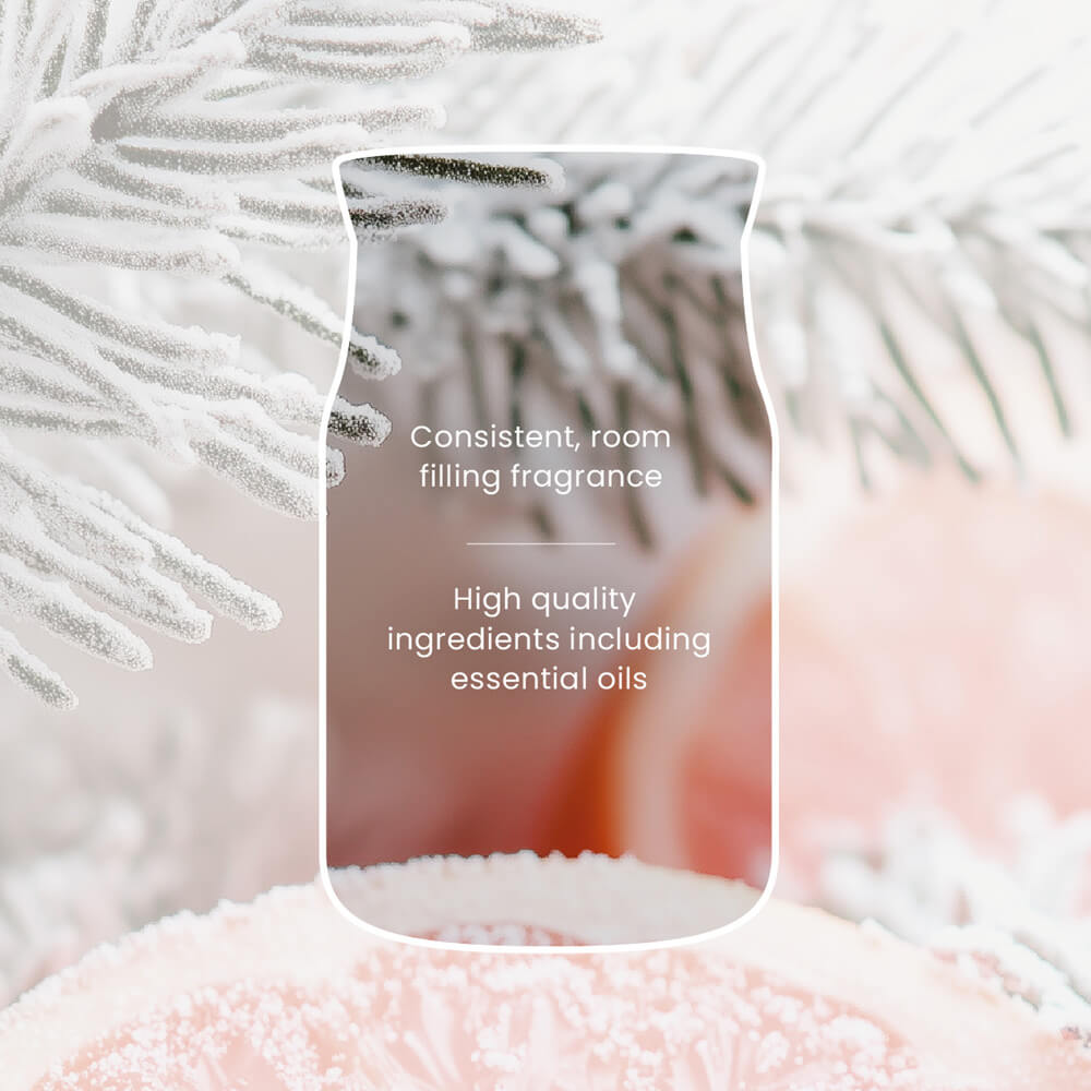 White Spruce and Grapefruit