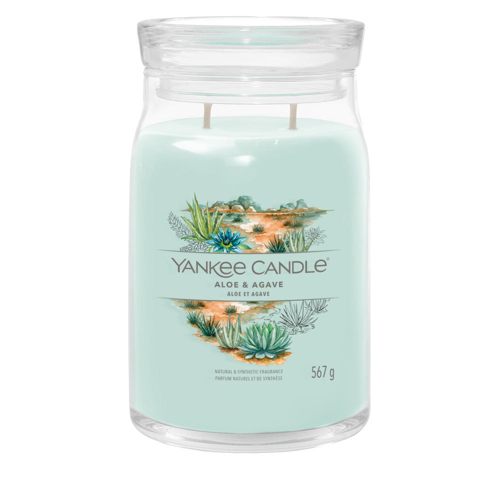 Candela In Giara Medium Jar Aloe & Agave Yankee Candle