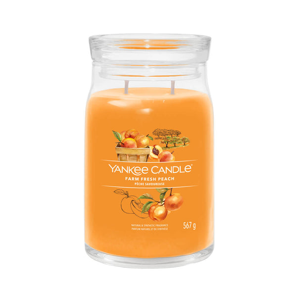 Yankee Candle Signature Large Jar Candles Candles Direct